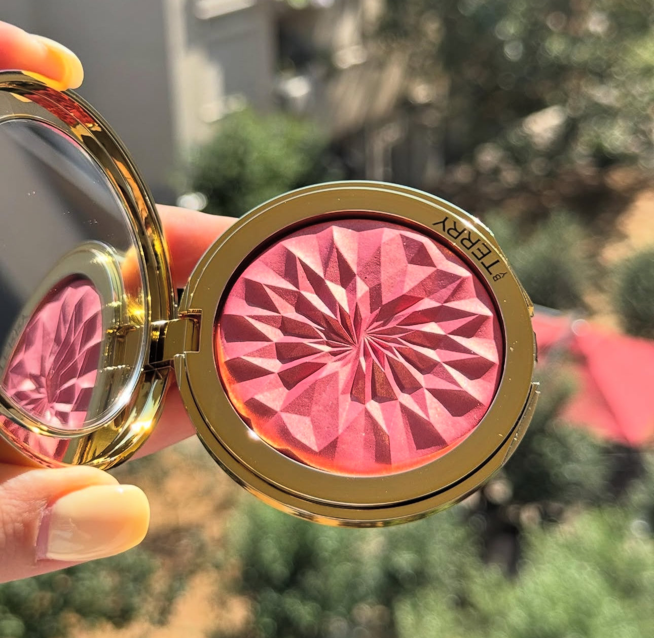 By Terry
Starlight Glow CC Highlighter