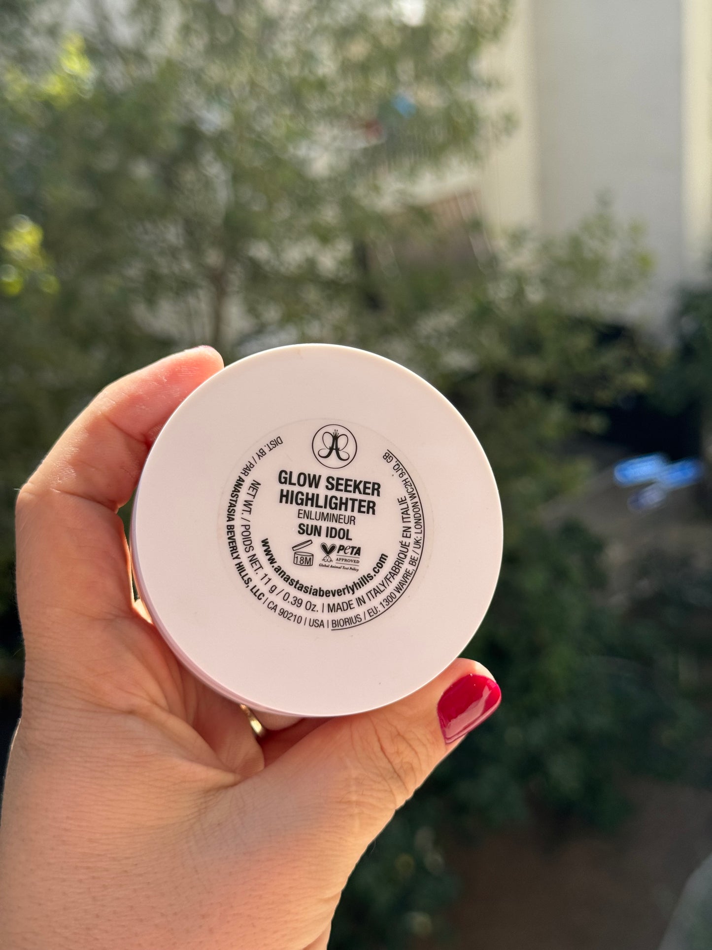 Anastasia Beverly Hills
Glow Seeker Champagne Gold Powder Highlighter