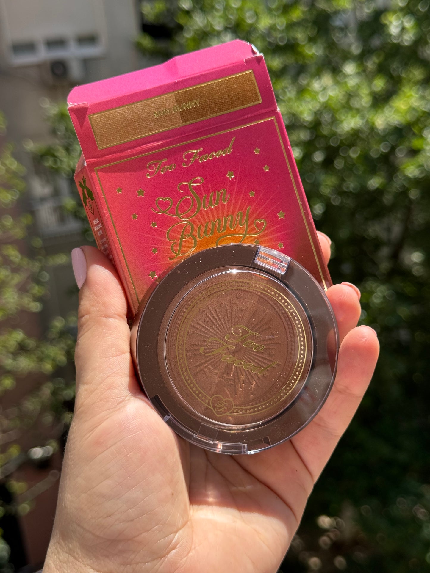 Too Faced
Sun Bunny Luminous Blushing Bronzer