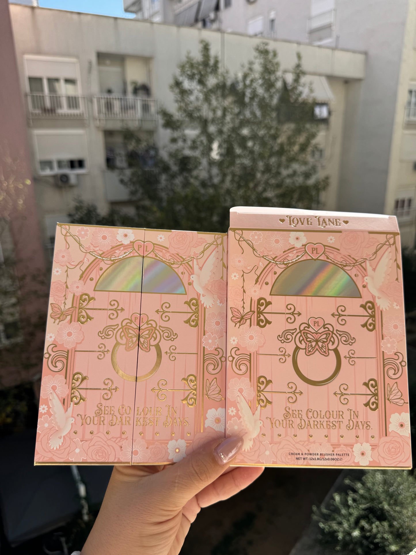 Plouise
Love Lane
Cream & Powder Blusher Palette