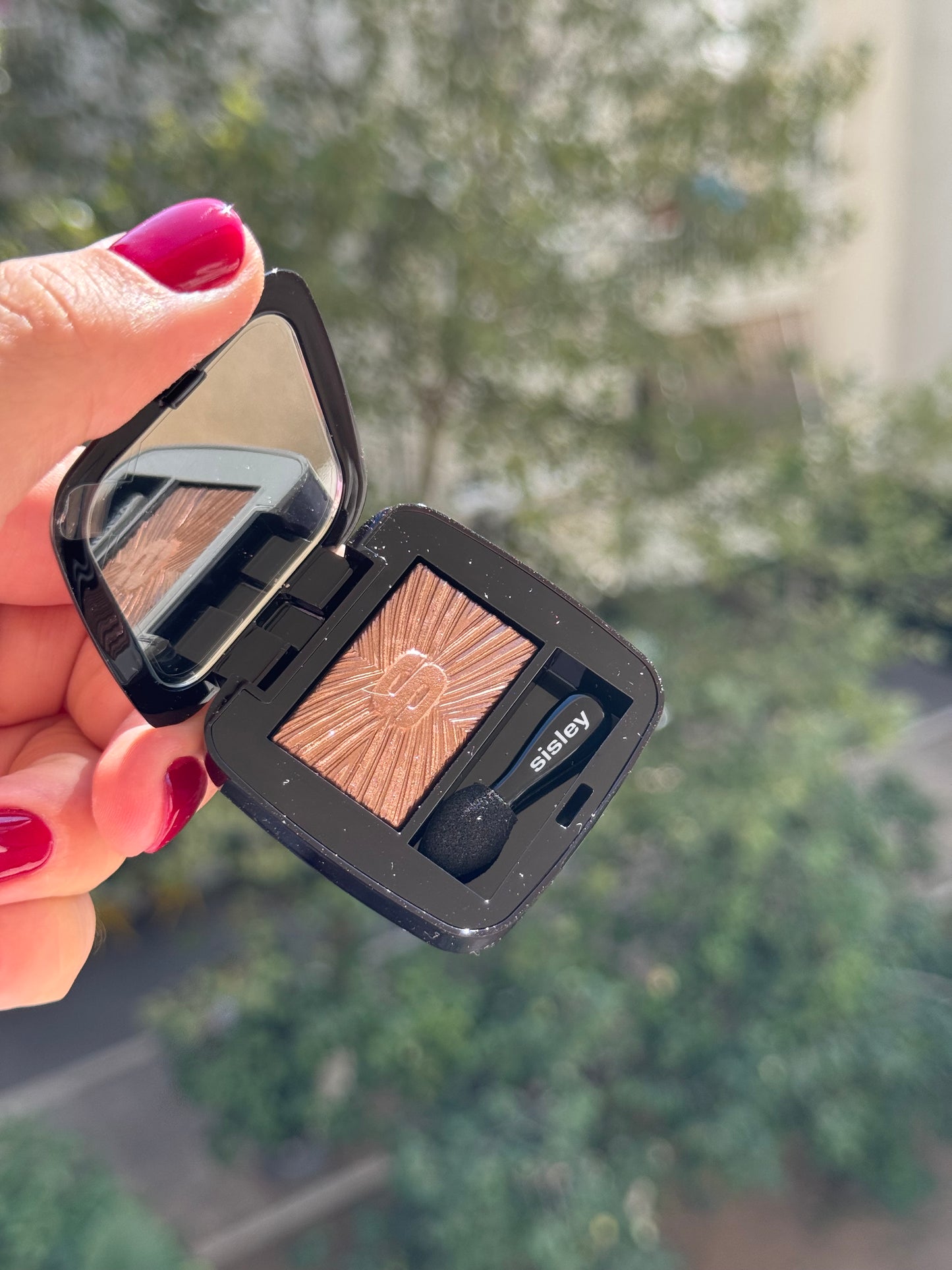 Sisley
Les phyto-ombres