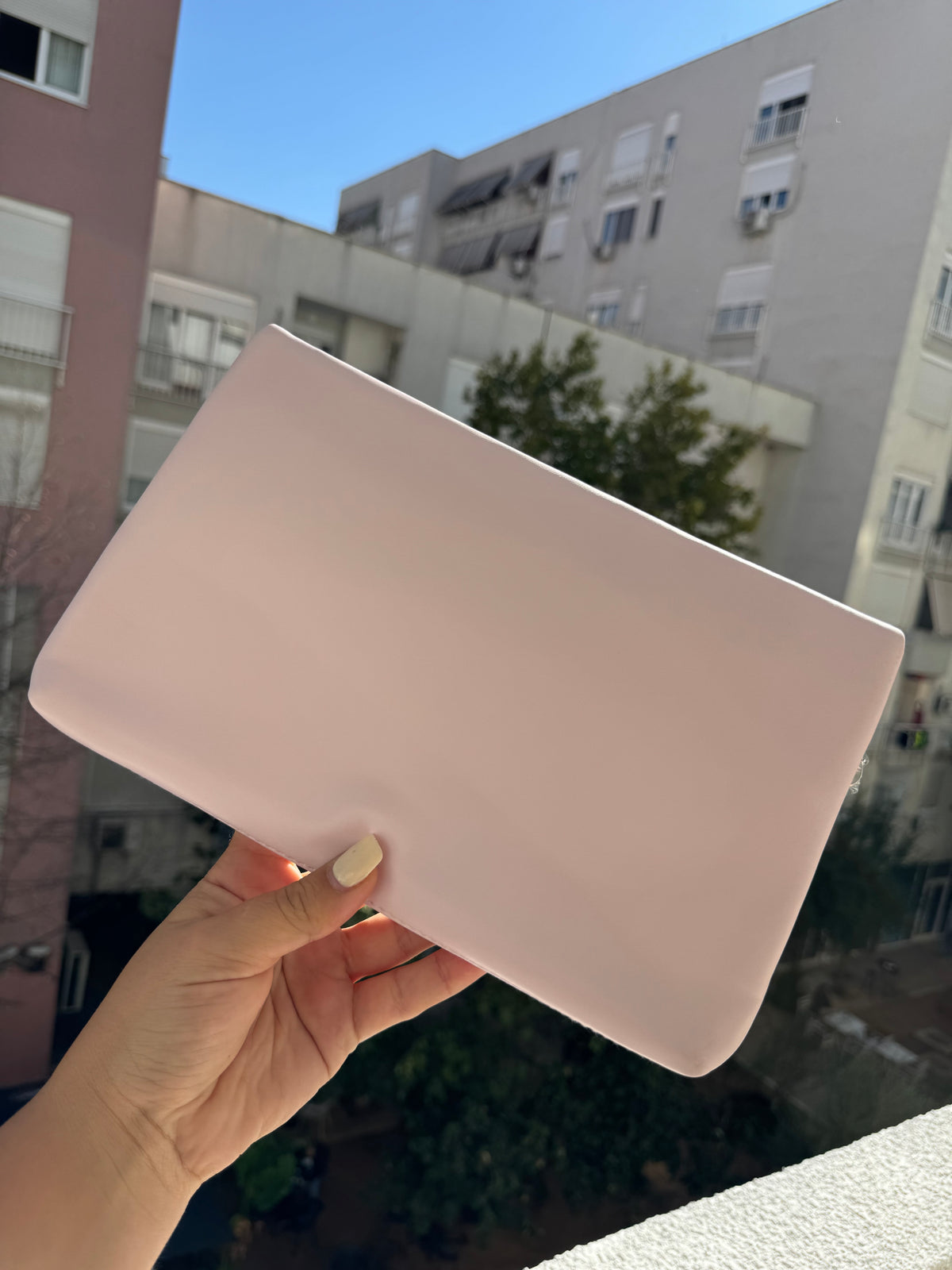 Dior Light Pink Pochette Bag